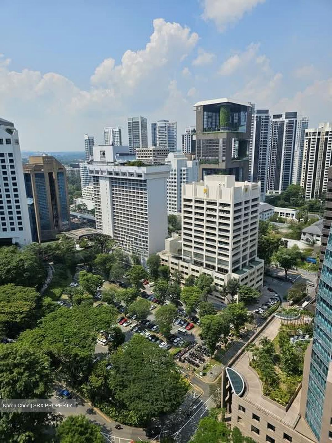 TwentyOne Angullia Park (D9), Condominium #560126201